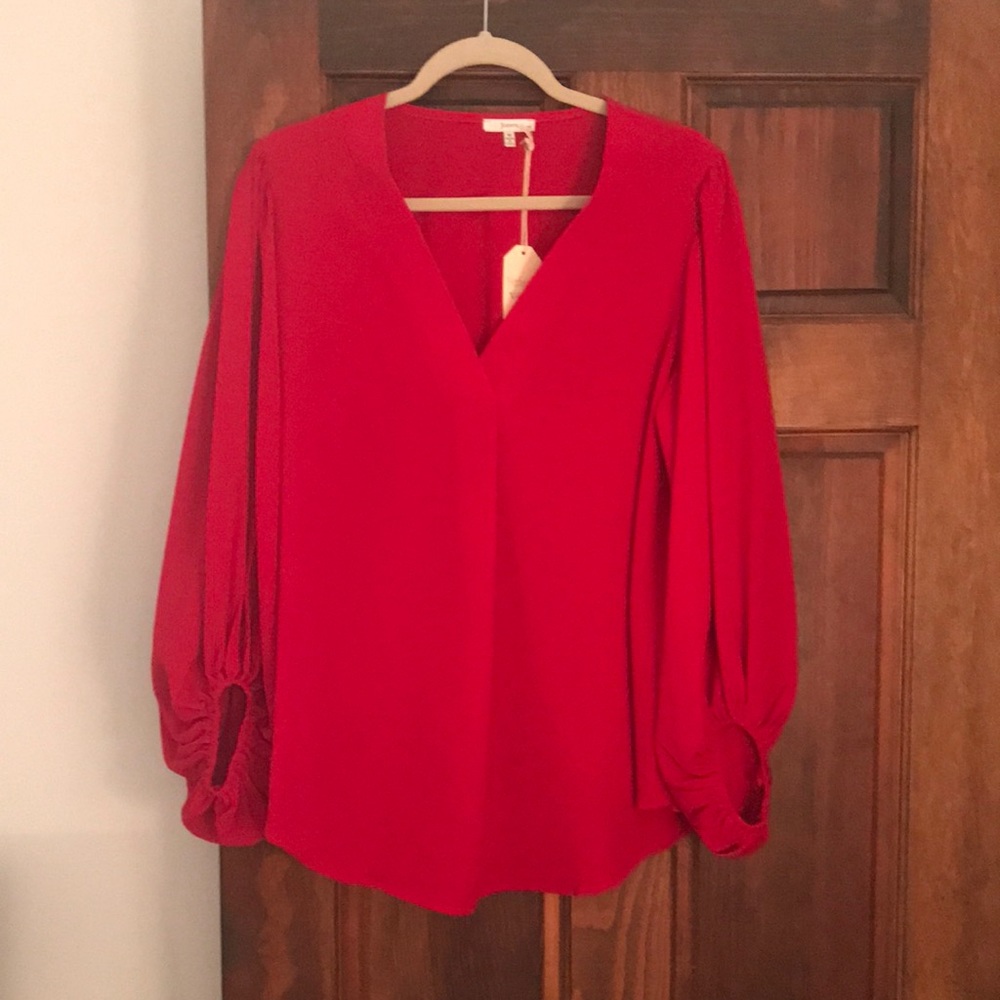Red blouson sleeve blouse